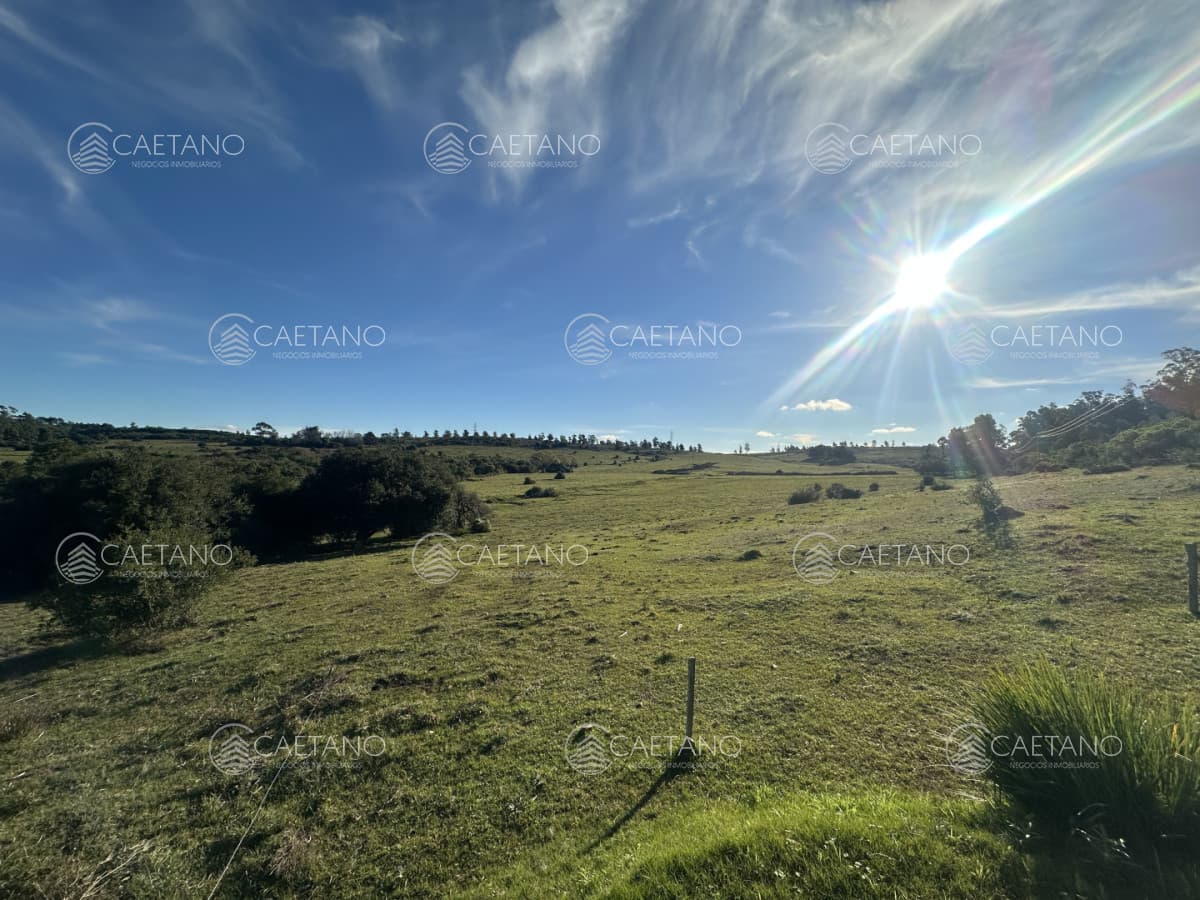 venta chacra 3 hectáreas Punta Ballena.