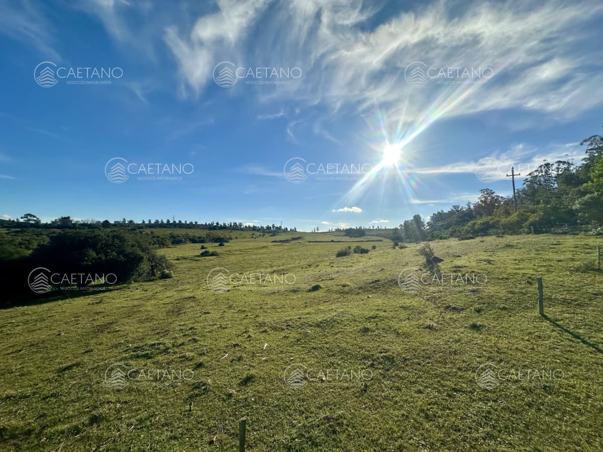 venta chacra 3 hectáreas Punta Ballena.