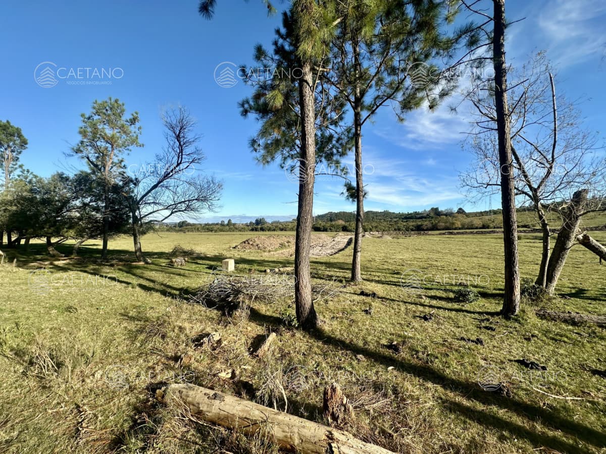 Venta Chacra la Pataia, Punta Ballena.