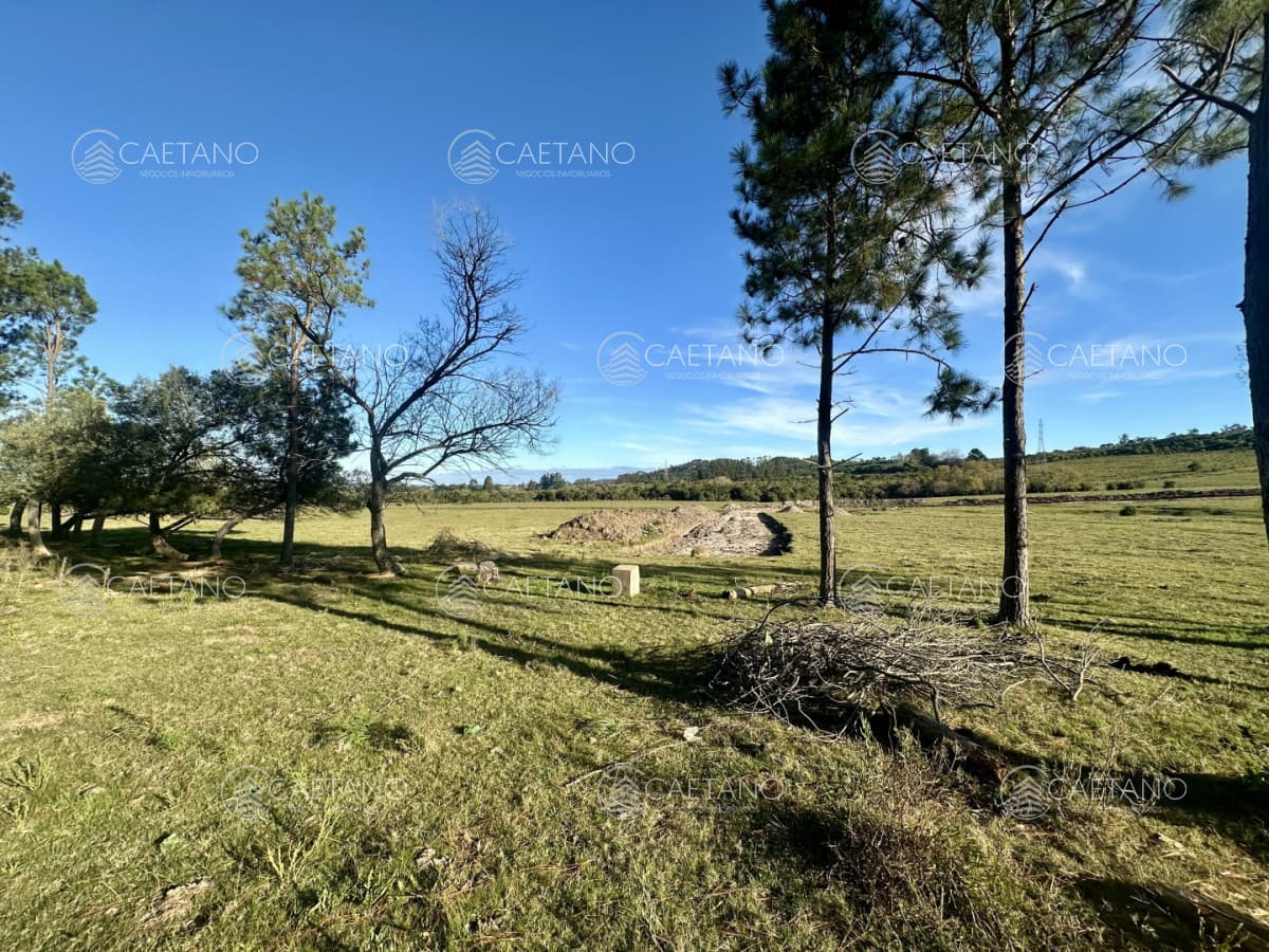 Venta Chacra la Pataia, Punta Ballena.