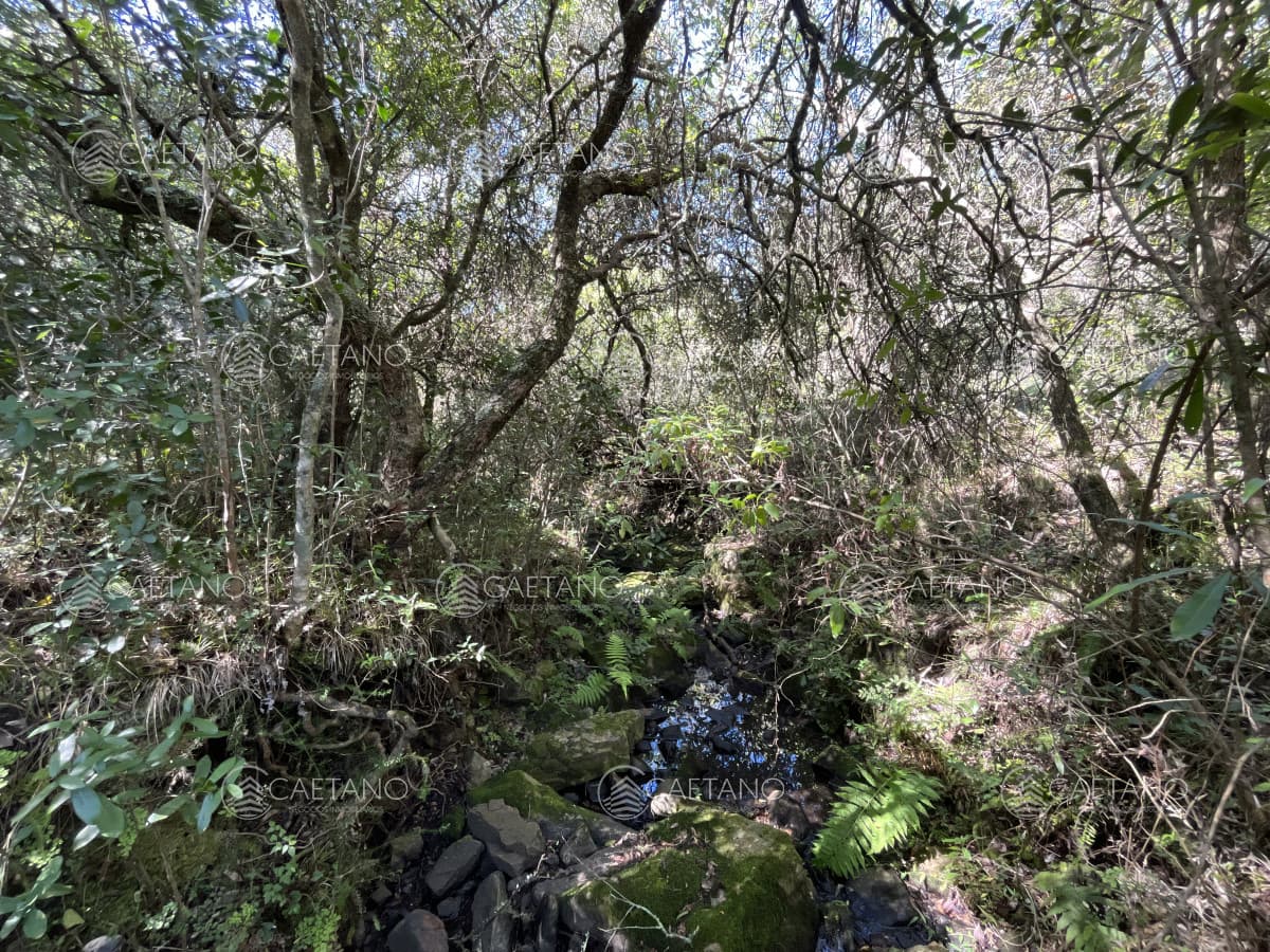 Venta Chacras Pueblo Edén. ruta 12, Maldonado.