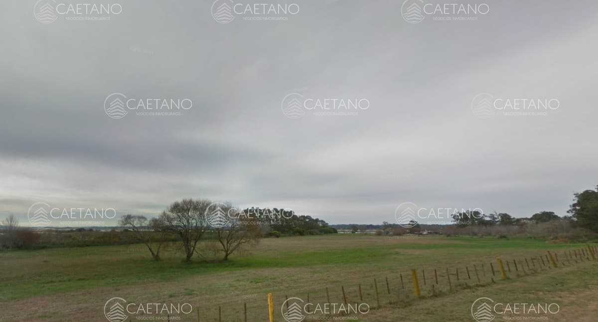 Venta chacra en Punta del Este