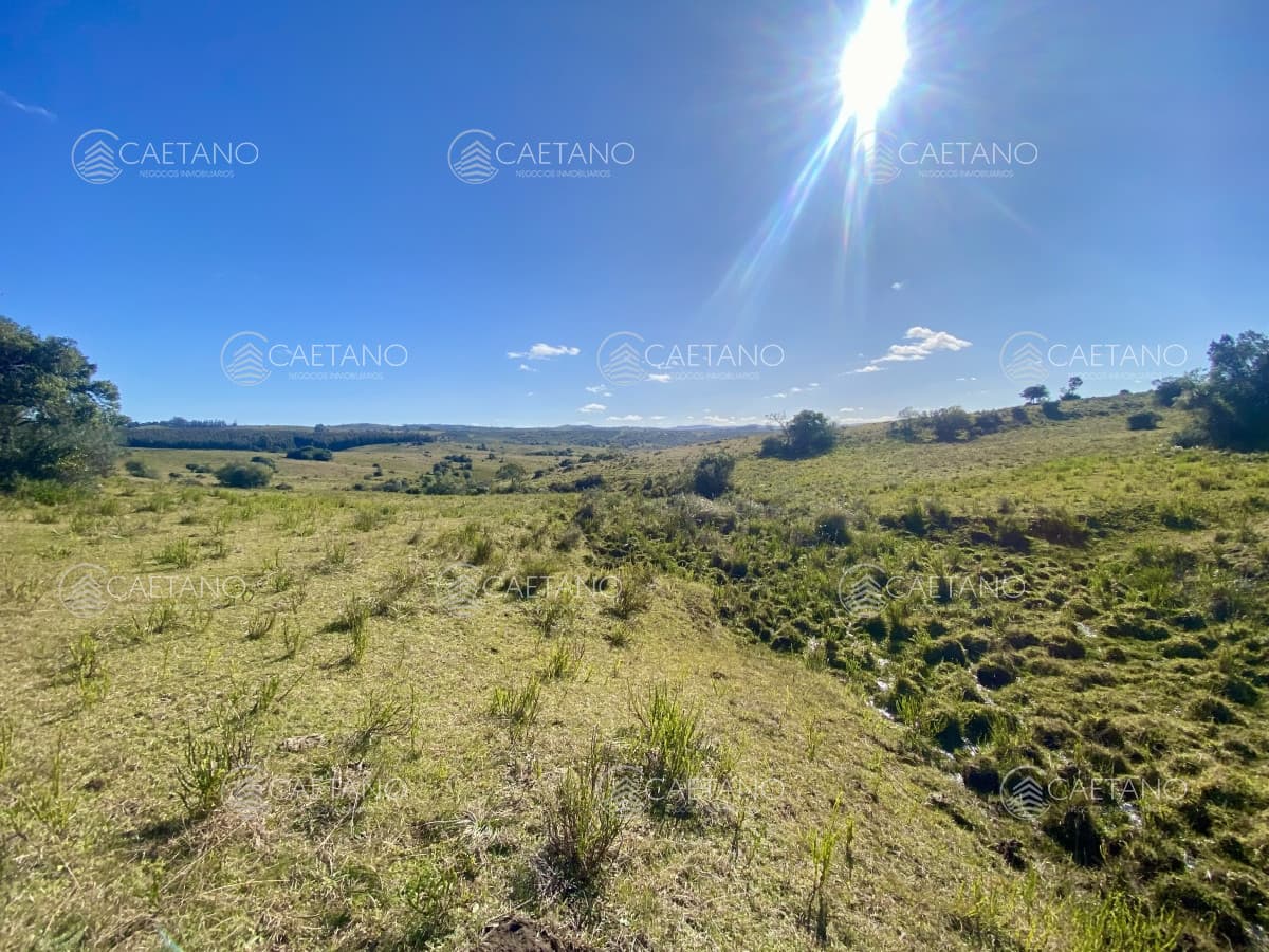Venta chacra 5 hectáreas. Camino del Olivo, Pueblo Edén.
