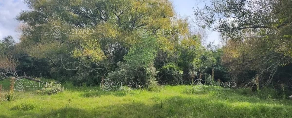 venta chacras ruta 12 Maldonado