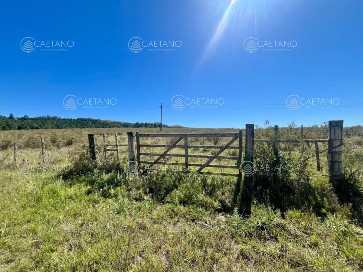CHACRA EN VENTA LA PATAIA 10 HECTAREAS