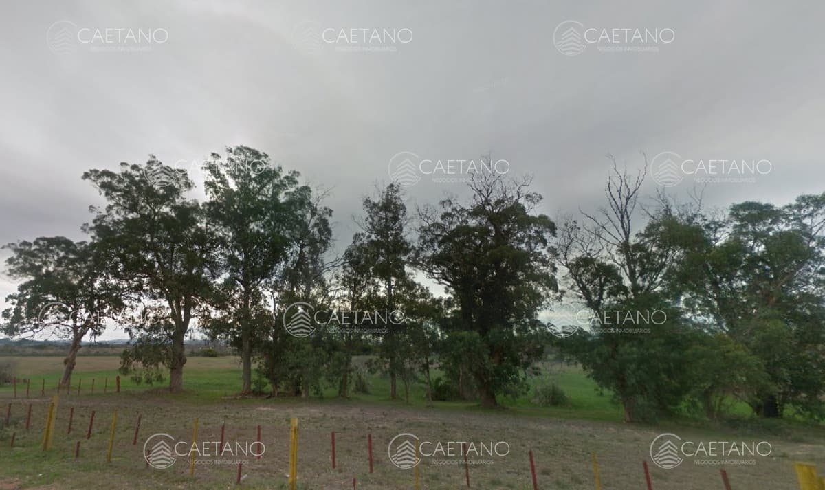 Venta chacra en Punta del Este