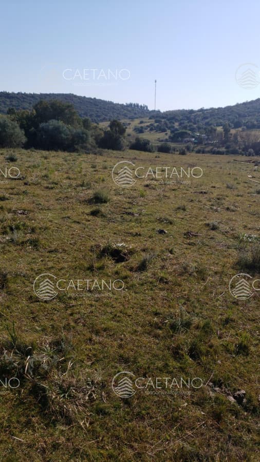 Chacra en venta en Aigua