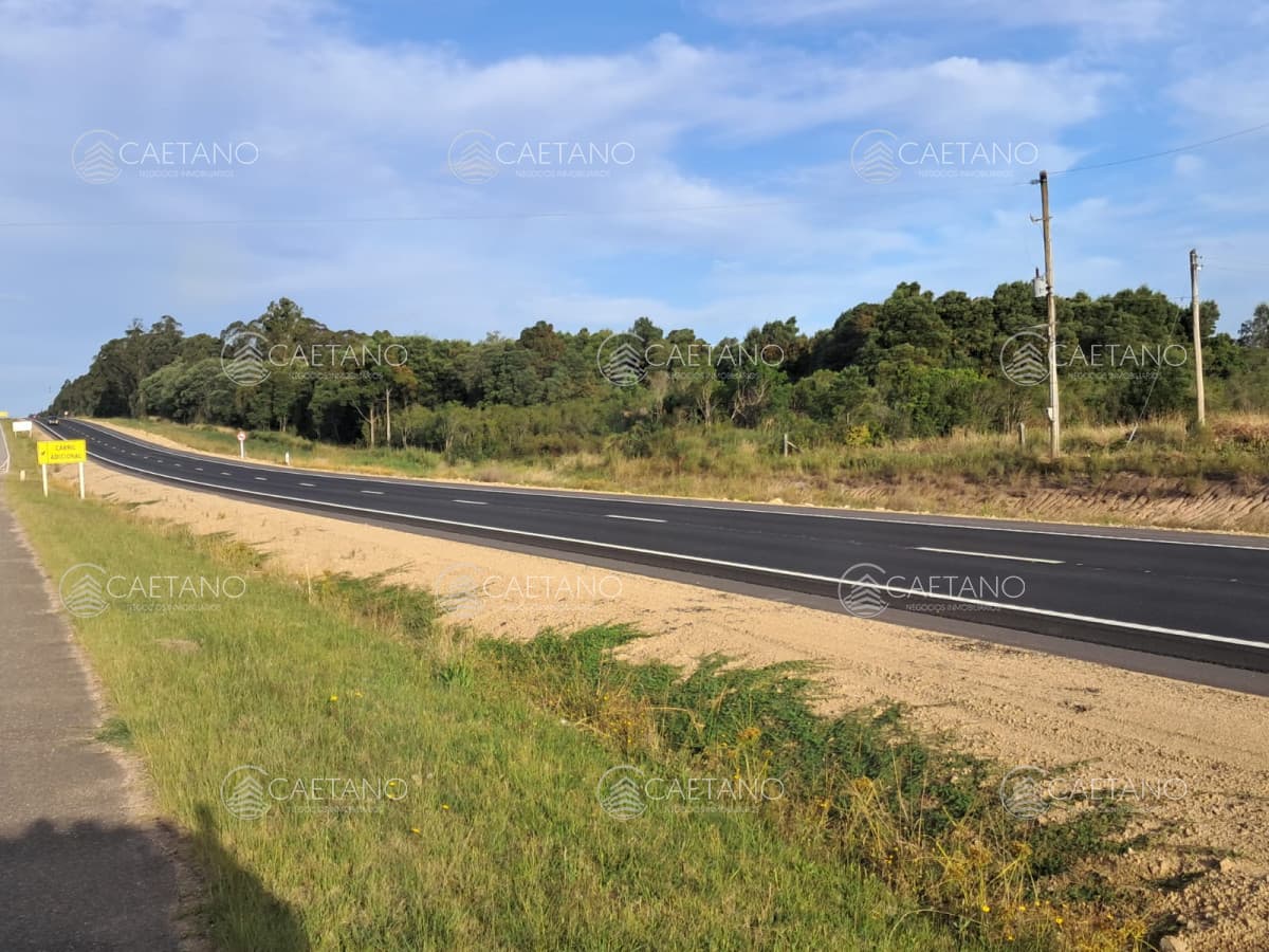 Venta Chacra Ruta 9