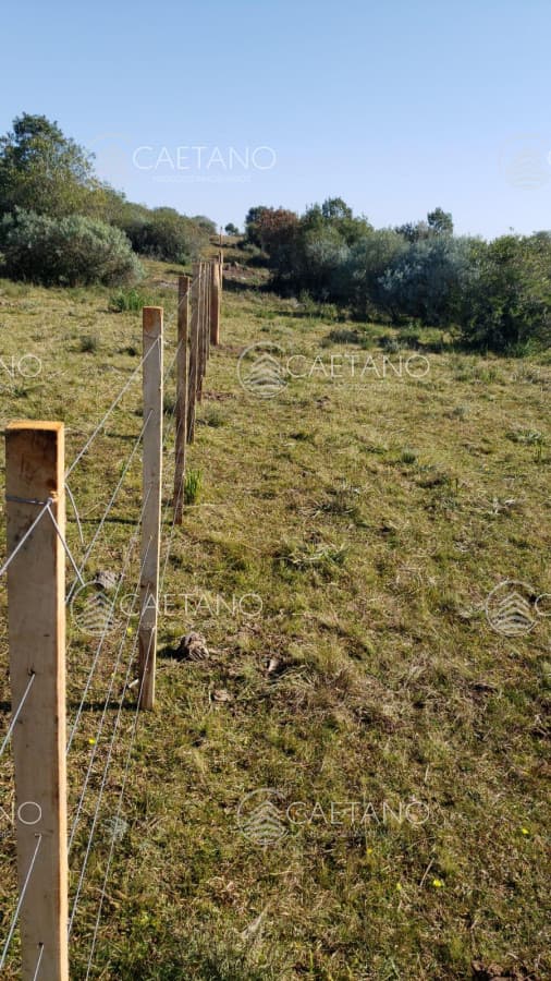 Chacra en venta en Aigua