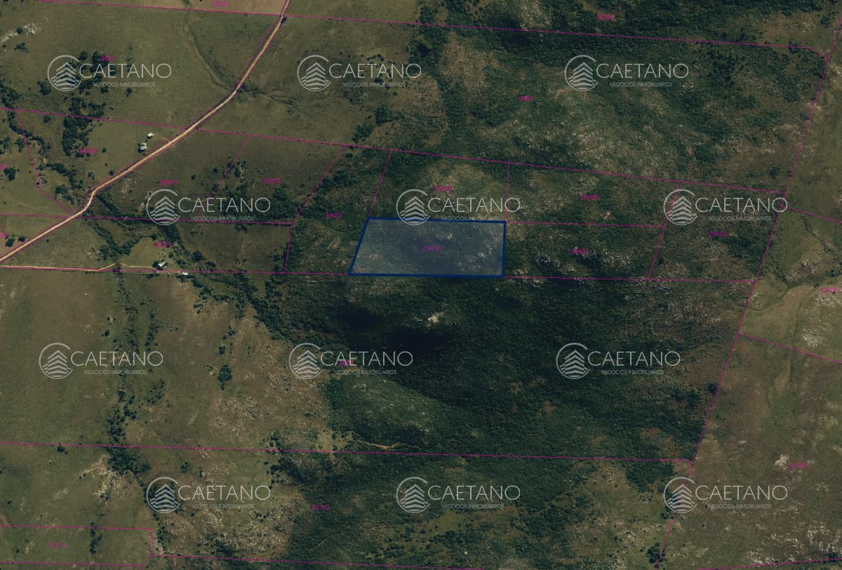 Venta Chacra en Maldonado