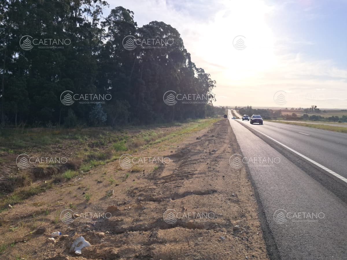 Venta Chacra Ruta 9