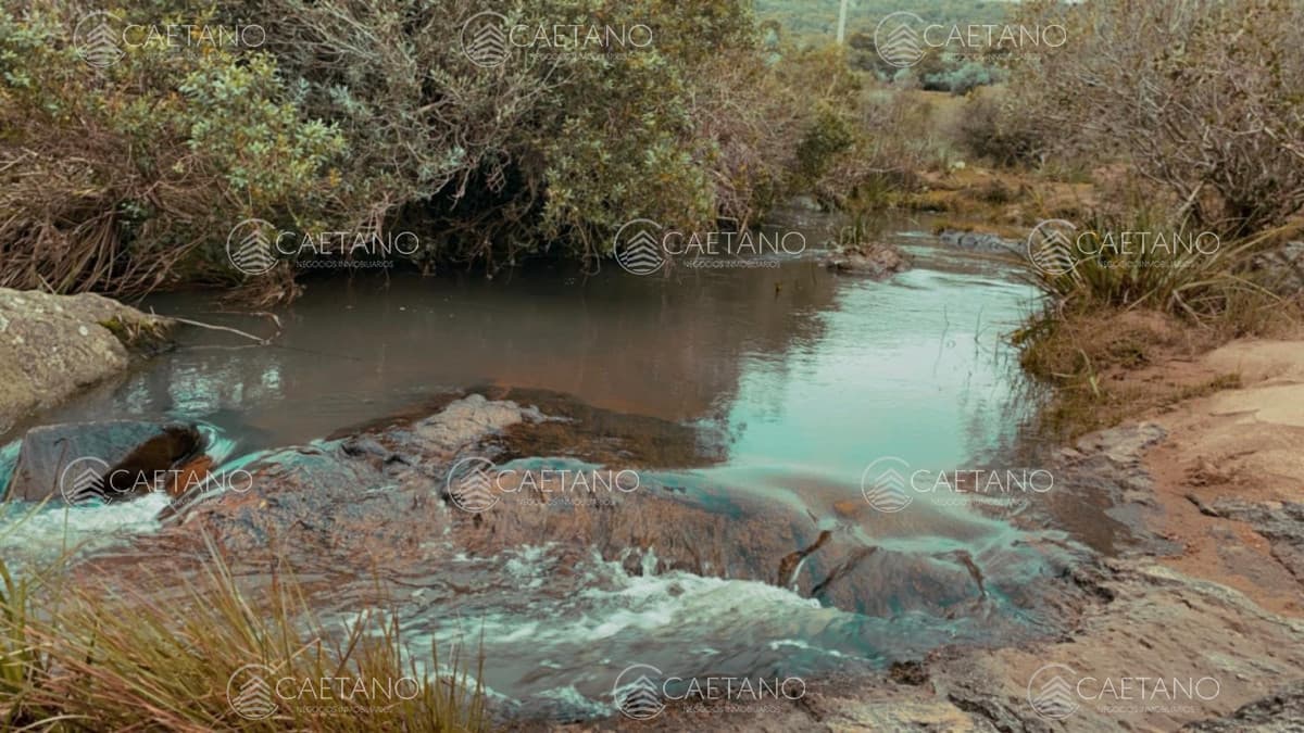 Chacra en venta en Aigua