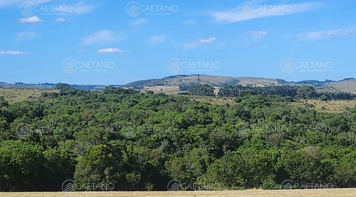 Chacra en venta en Pueblo Eden