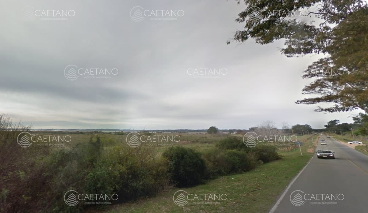 Venta chacra en Punta del Este