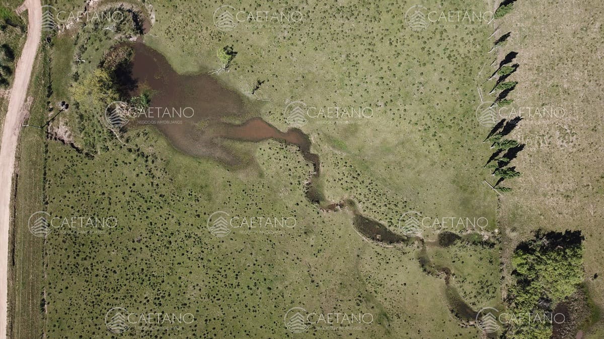 Chacra 5 hectáreas ruta 12 Maldonado