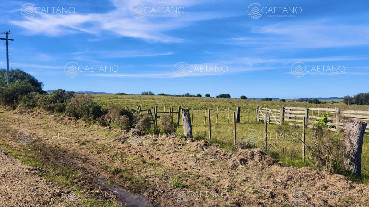 Venta chacras linderas 4has Pueblo Edén