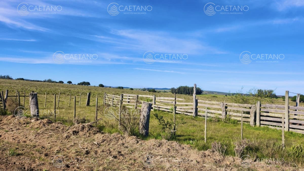 Venta chacras linderas 4has Pueblo Edén