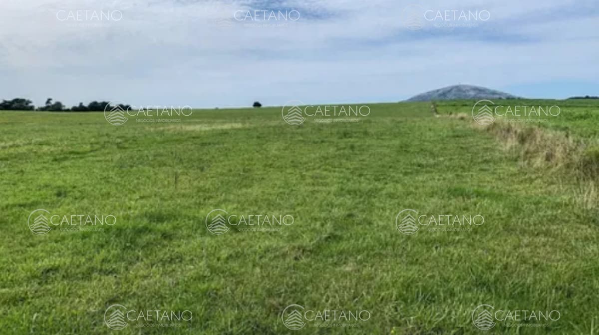 Chacra 5 hectáreas ruta interbancaria Maldonado