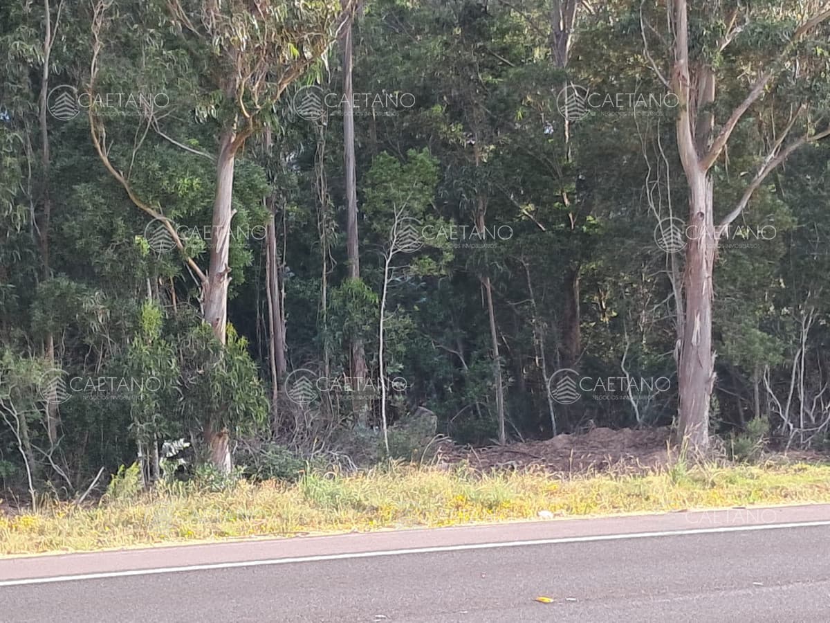Venta Chacra Ruta 9