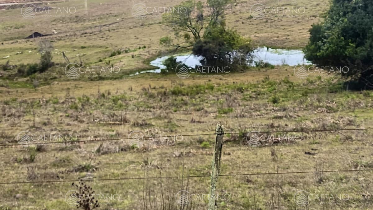 Venta chacra Pueblo Edén 5.5 hás