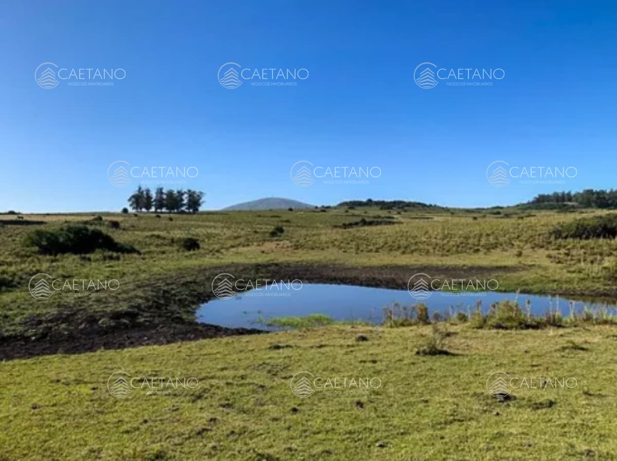Chacra 5 hectáreas ruta interbancaria Maldonado