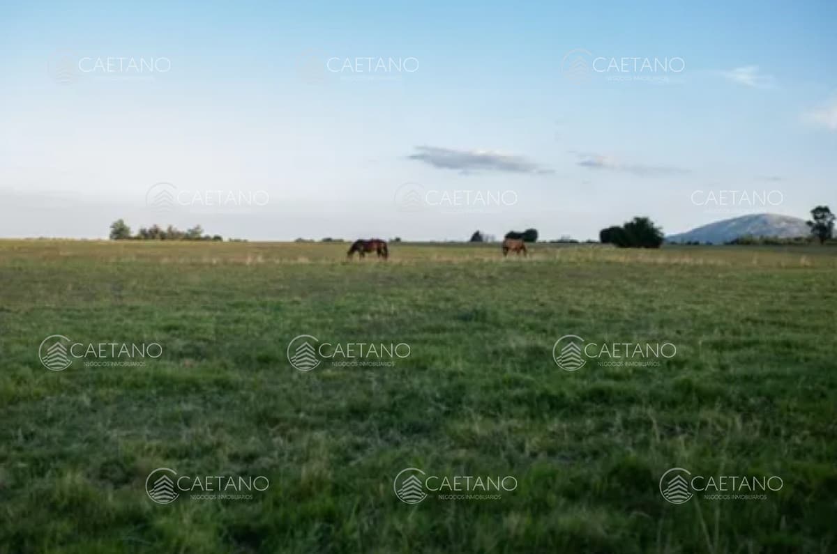 Chacra 5 hectáreas ruta interbancaria Maldonado