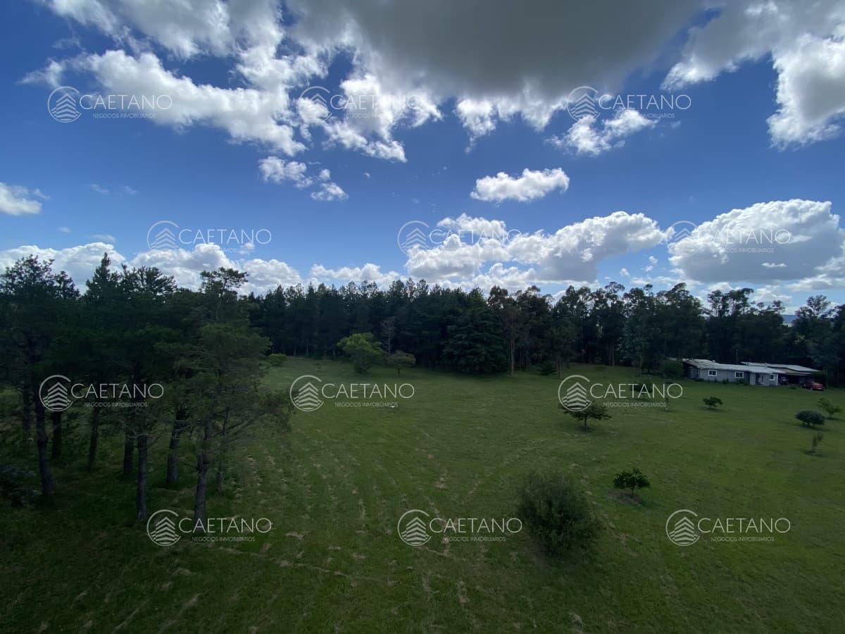 Chacra en venta 2 dormitorios - Minas