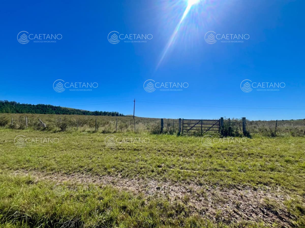 CHACRA EN VENTA LA PATAIA 10 HECTAREAS