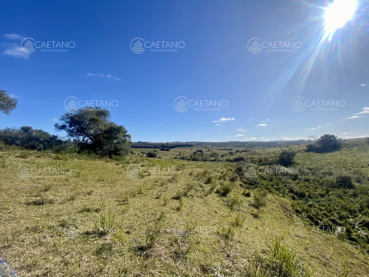 Venta chacra 5 hectáreas. Camino del Olivo, Pueblo Edén.