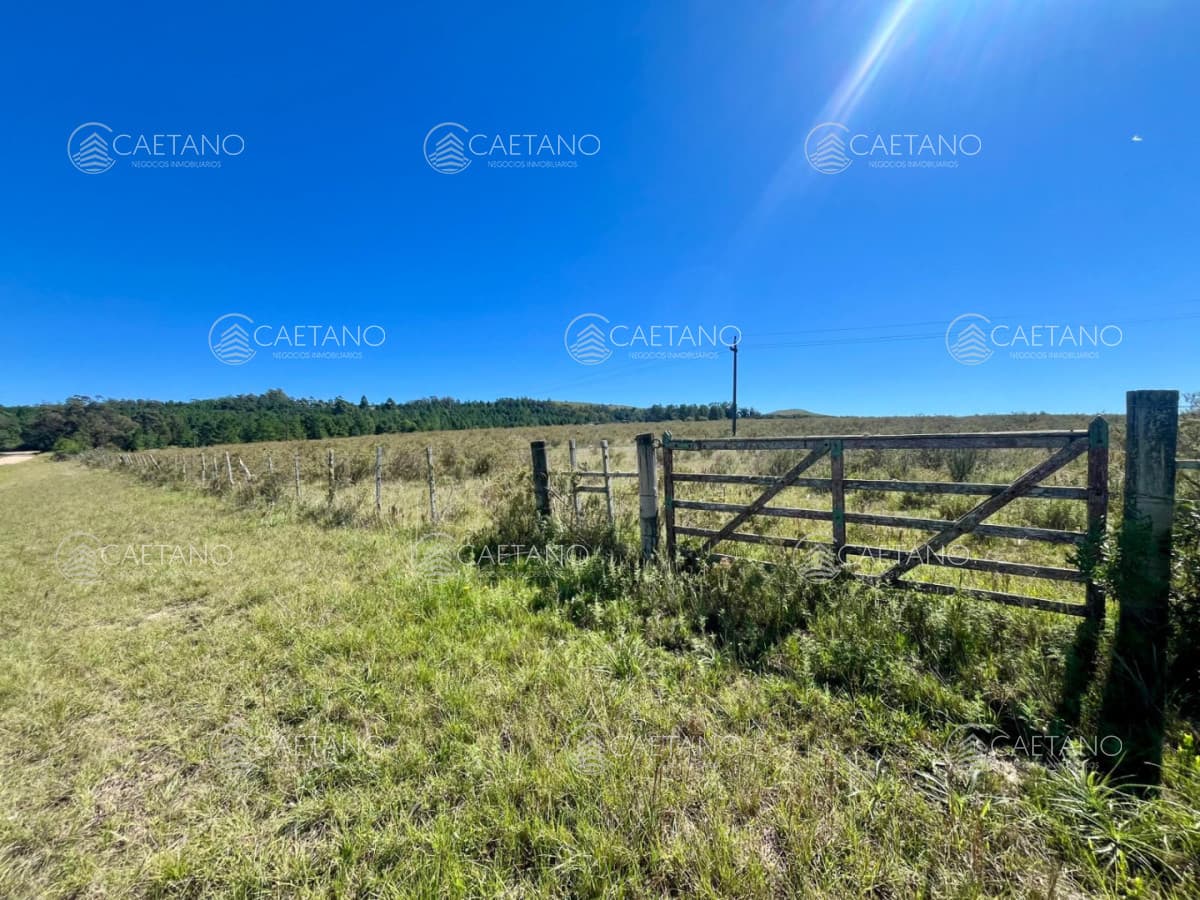 CHACRA EN VENTA LA PATAIA 10 HECTAREAS