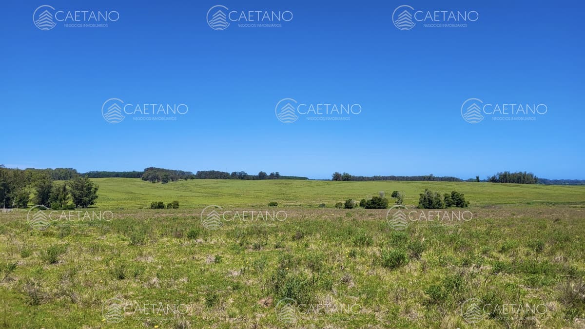 Venta chacra Jose Ignacio con costa Arroyo Anastasio