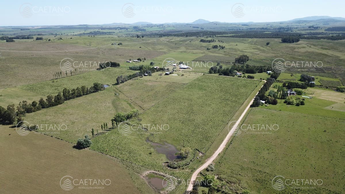 Chacra 5 hectáreas ruta 12 Maldonado