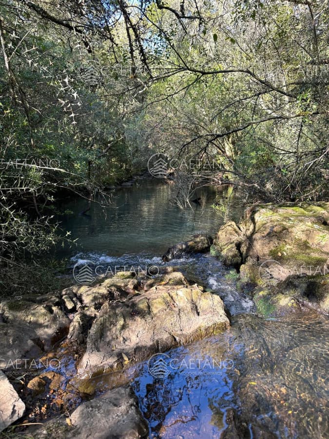 Venta Chacra Minas, Lavalleja