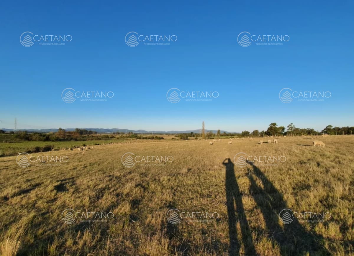 Venta de chacra en Canelones