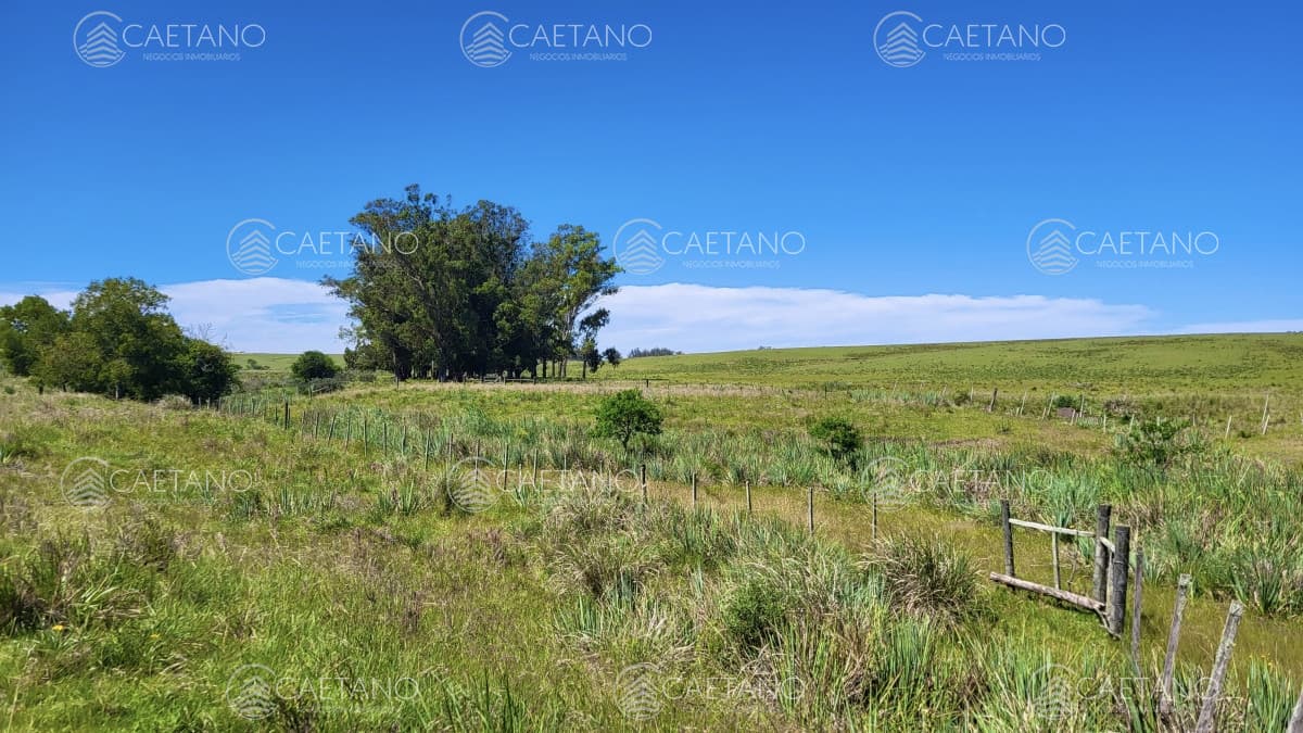 Venta chacra Jose Ignacio con costa Arroyo Anastasio