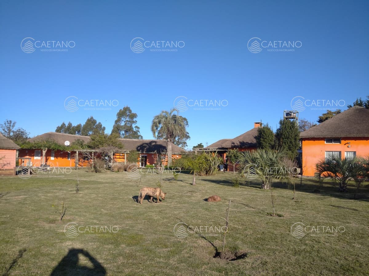 Chacra ID. 10064