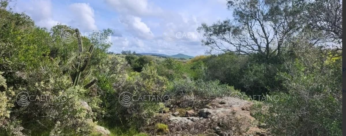 venta chacras ruta 12 Maldonado