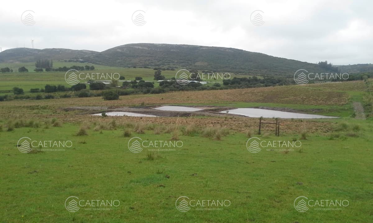Chacra de 7 has en venta en Sierra de los Caracoles