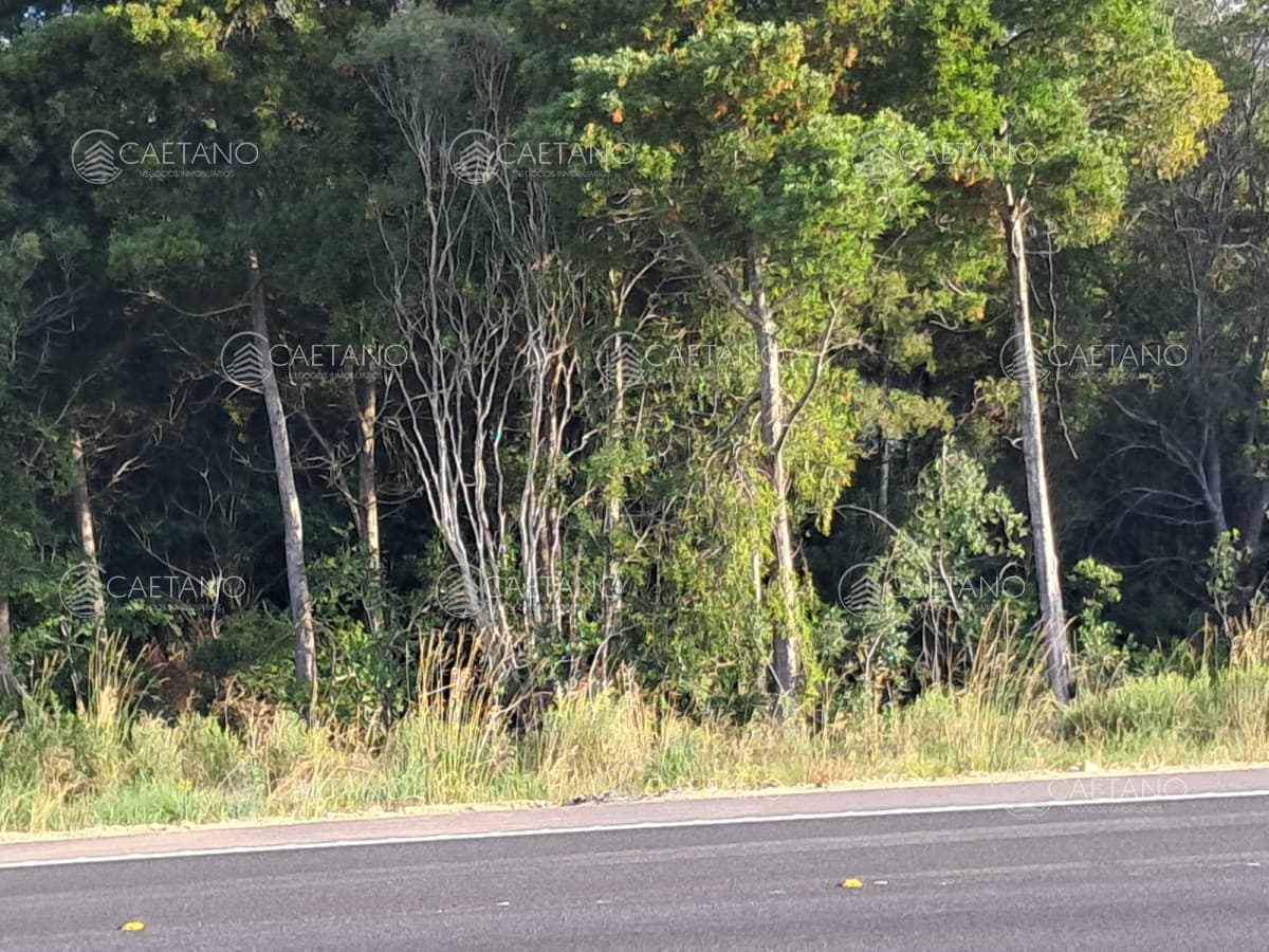 Venta Chacra Ruta 9