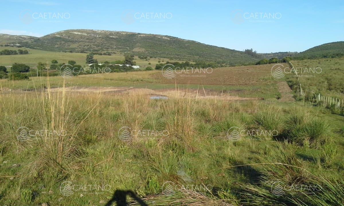 Chacra de 7 has en venta en Sierra de los Caracoles