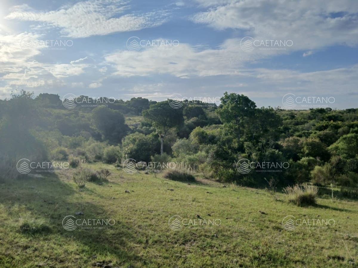 21 has en pueblo Eden con costa de arroyo