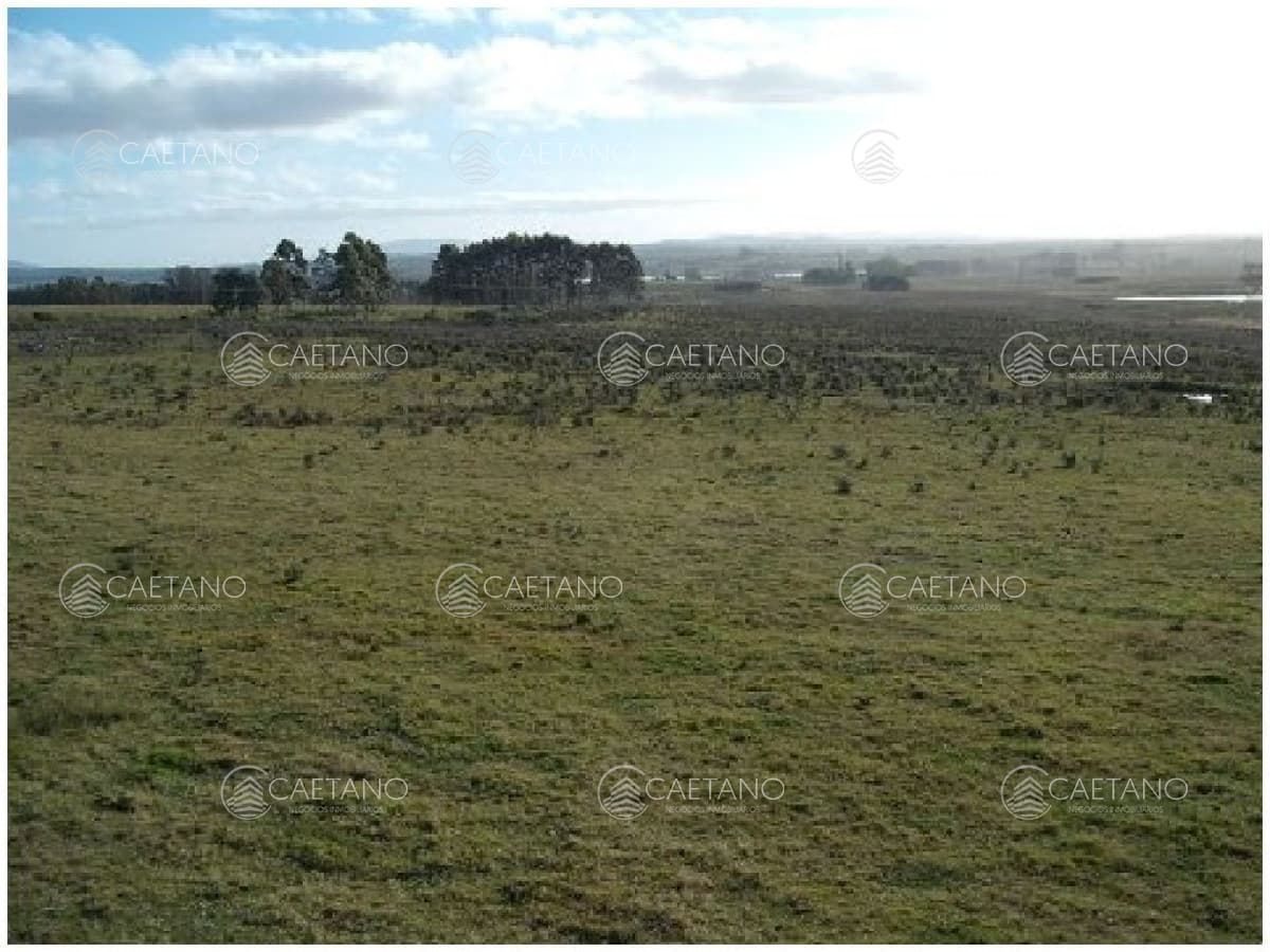 Vendo chacra 5 hectareas, a metros de ruta 12, entre Solanas y Ruta 9.