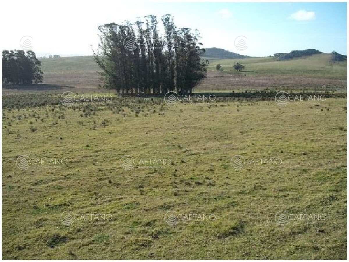Vendo chacra 5 hectareas, a metros de ruta 12, entre Solanas y Ruta 9.