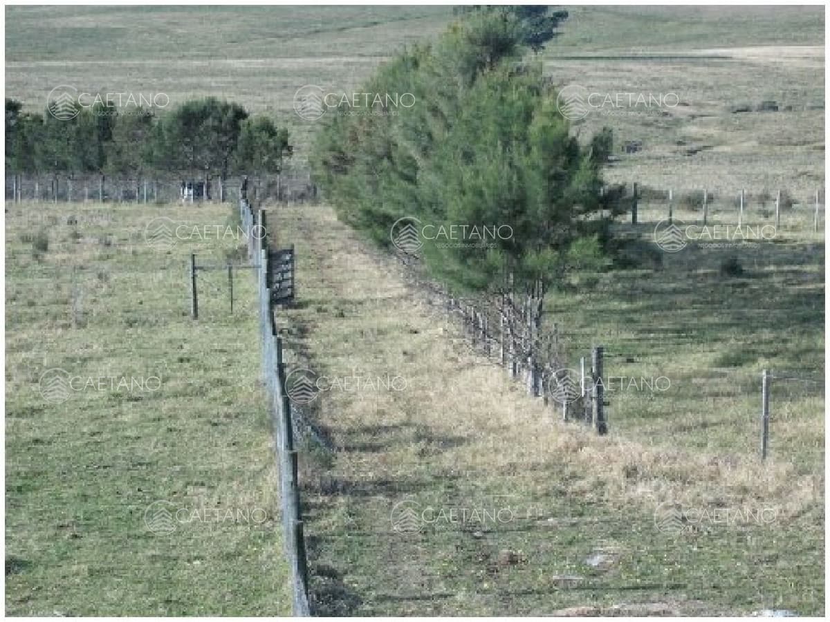 Vendo chacra 5 hectareas, a metros de ruta 12, entre Solanas y Ruta 9.