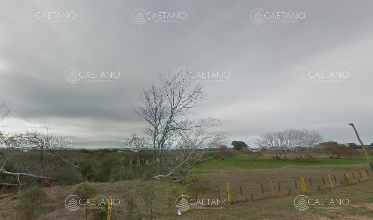 Venta chacra en Punta del Este