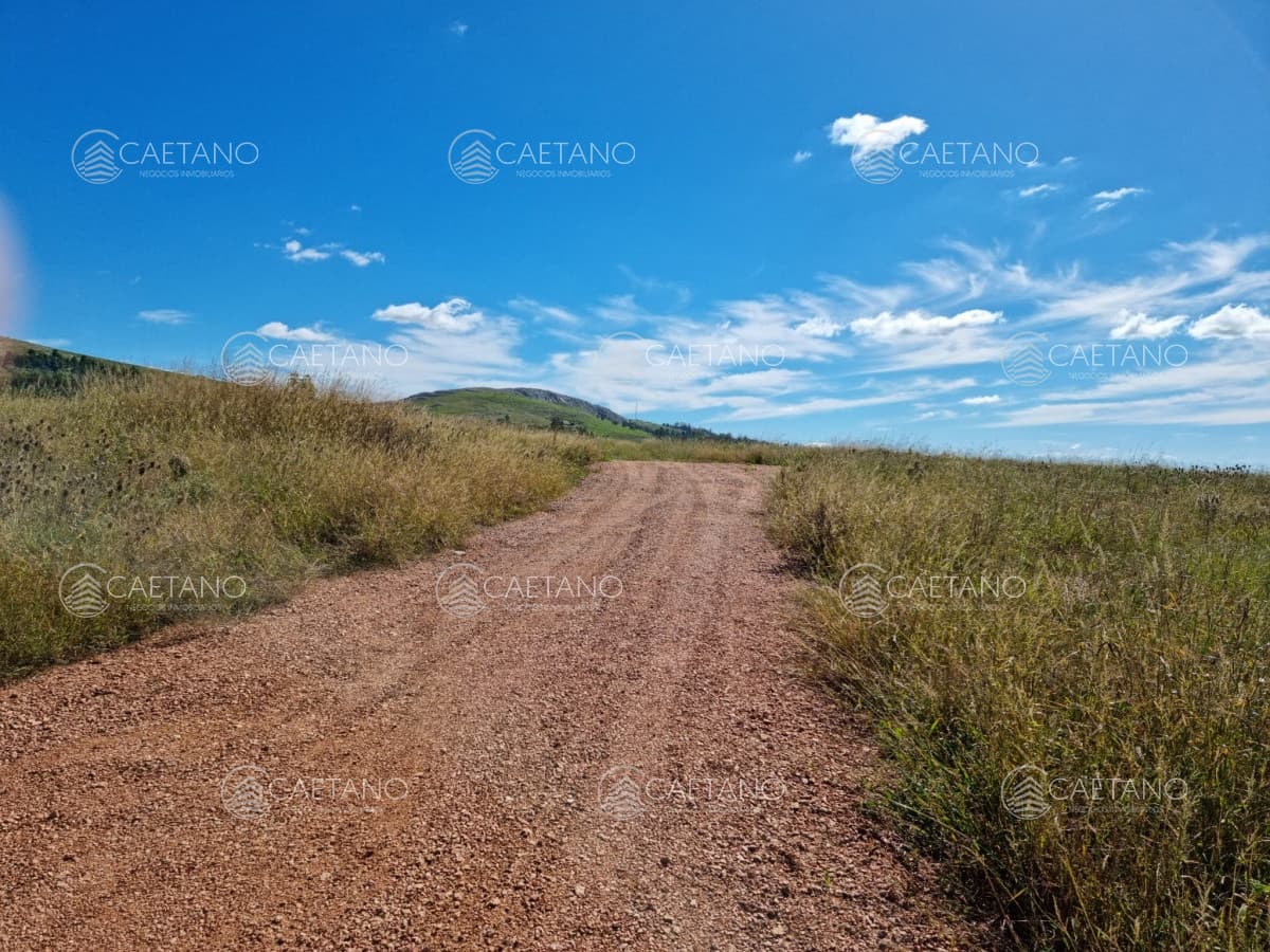 Venta chacra 10 hectáreas Maldonado