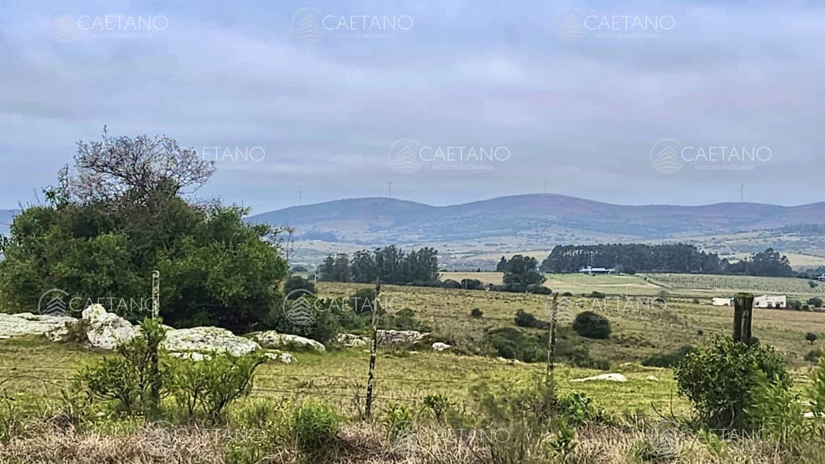 Venta chacra Pueblo Edén 5.5 hás