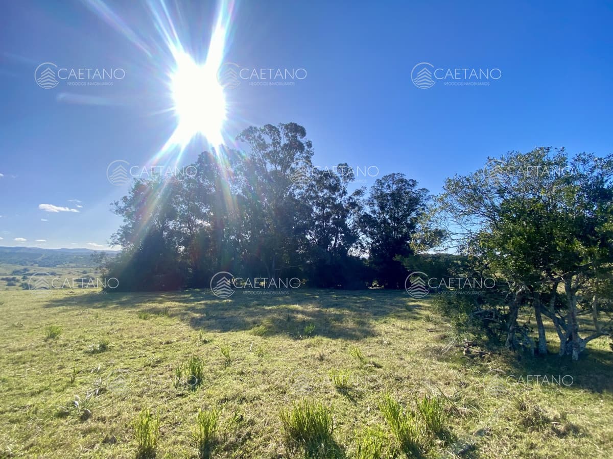 Venta chacra 5 hectáreas. Camino del Olivo, Pueblo Edén.