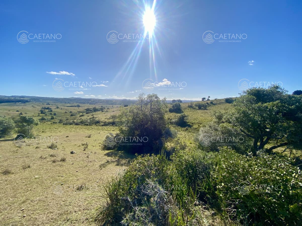 Venta chacra 5 hectáreas. Camino del Olivo, Pueblo Edén.