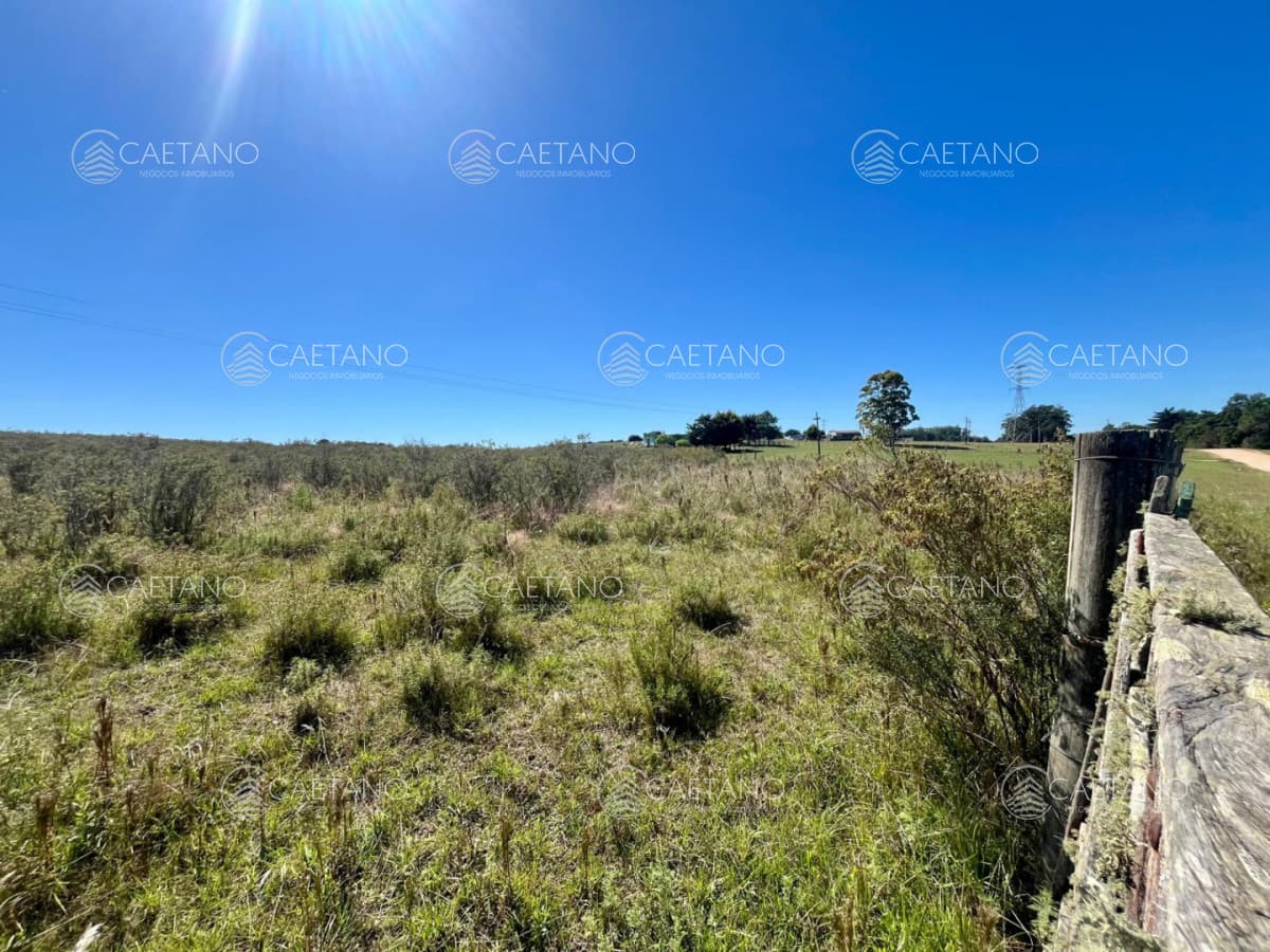 CHACRA EN VENTA LA PATAIA 10 HECTAREAS